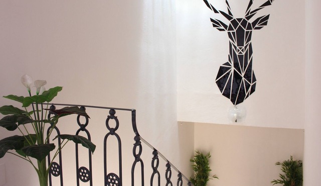 The Deer Oasis