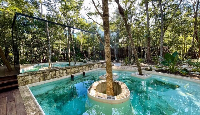 Tinyhome Meets Glamping Mayan Jungle Experience!
