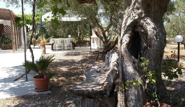 Uliveto residence, immersed in the Salento countryside a few km from the sea