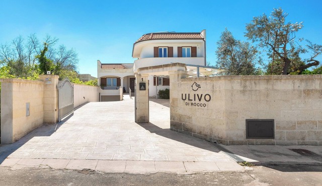 Ulivo di Rocco - Bilo Superior PP by BarbarHouse