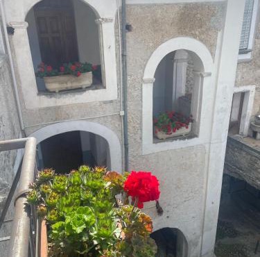 Vigna Della Signora