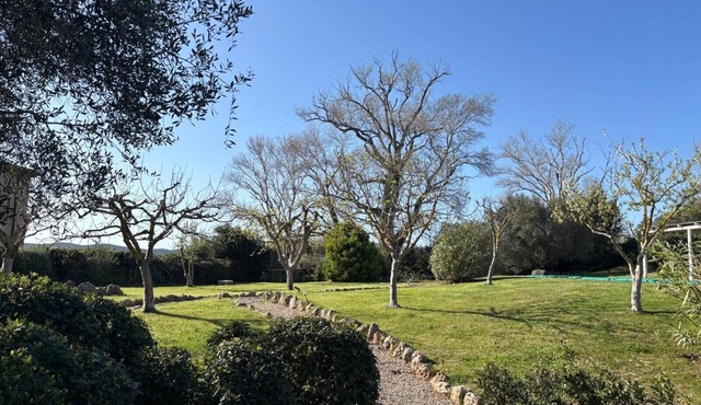 Villa 5 minutes from sea, swimming pool and olive trees in Capalbio countryside