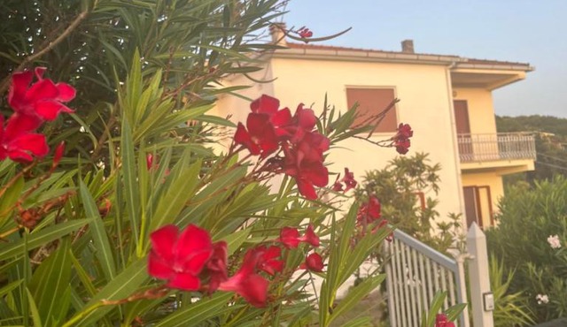Villa Giardino degli oleandri Palinuro