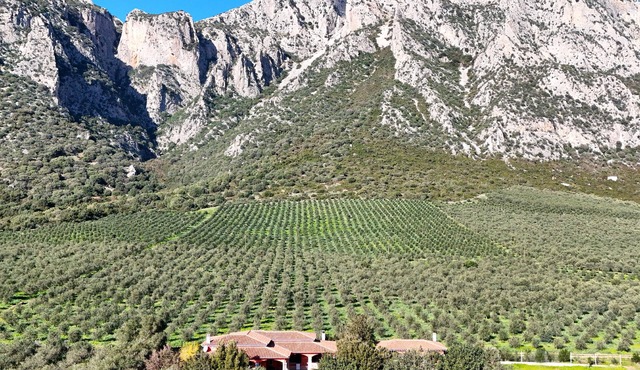Villa with stunning views to the mountains 5km from the beach