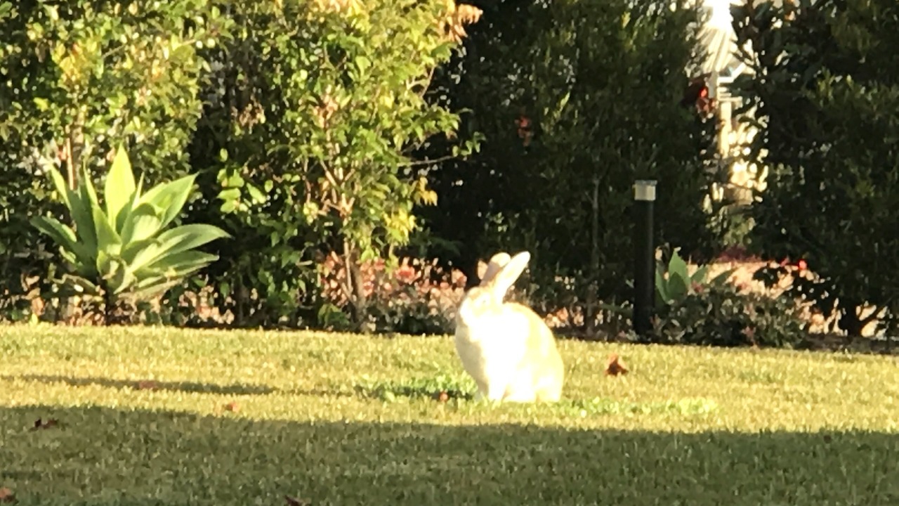 Photo of Outdoor in Duffys Forest