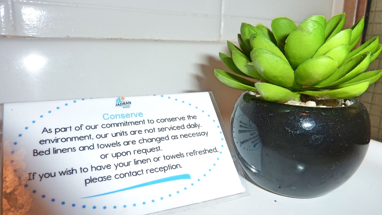 Photo of Others in Labrador