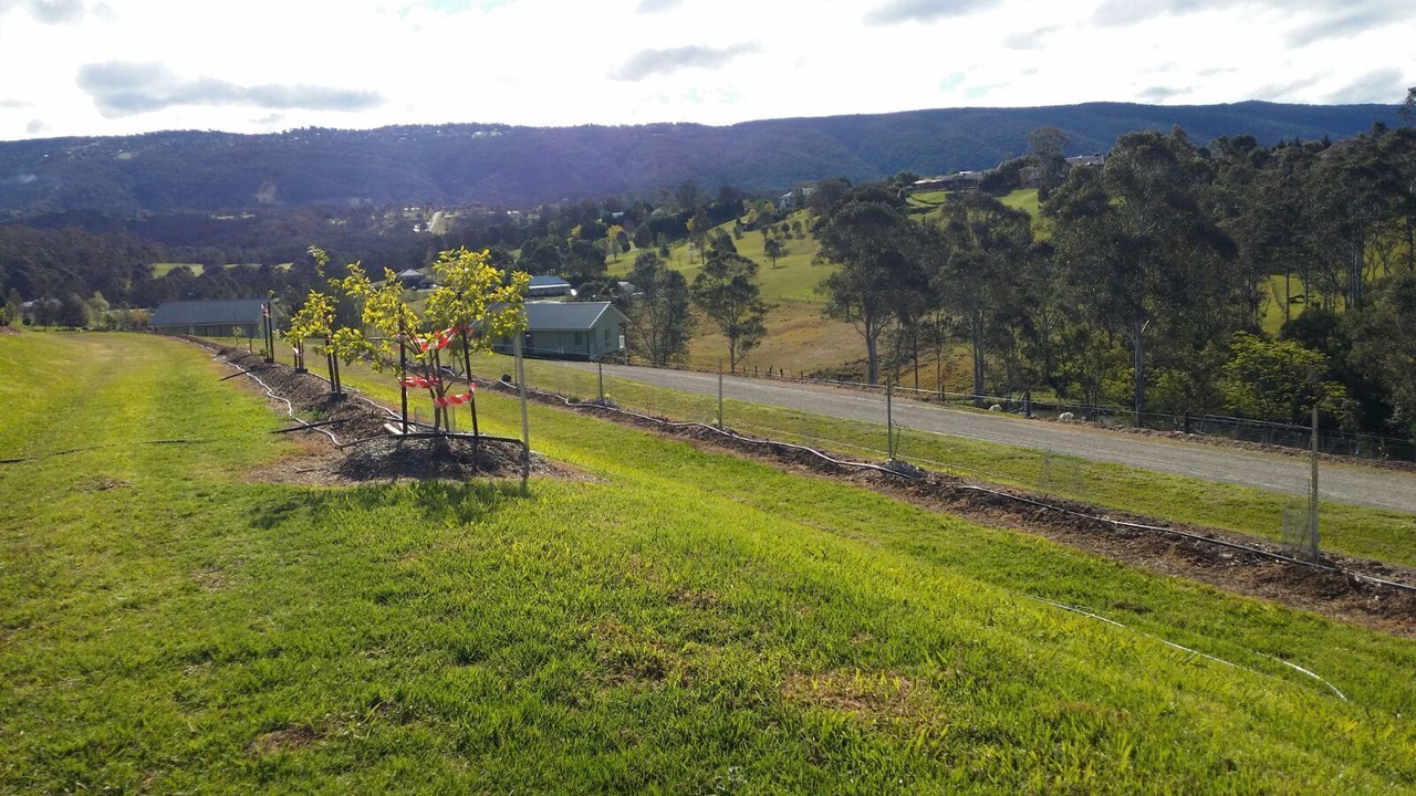Photo of Others in Kurrajong