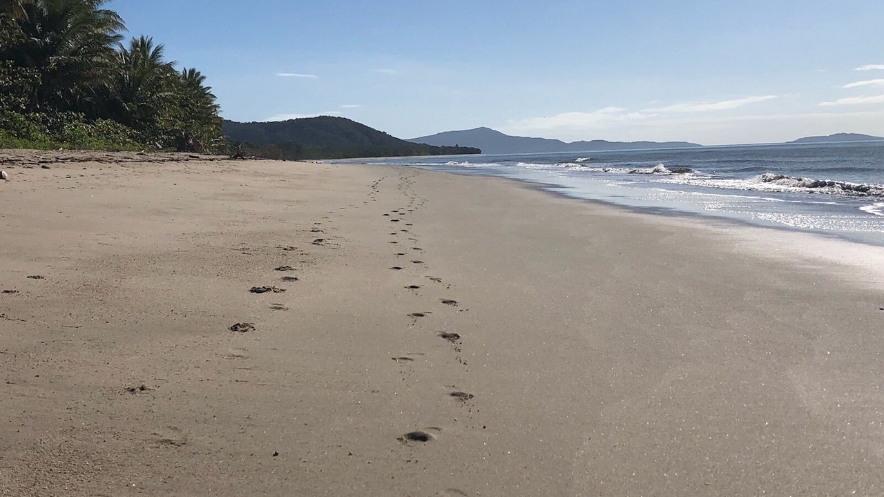 Photo of Others in Newell