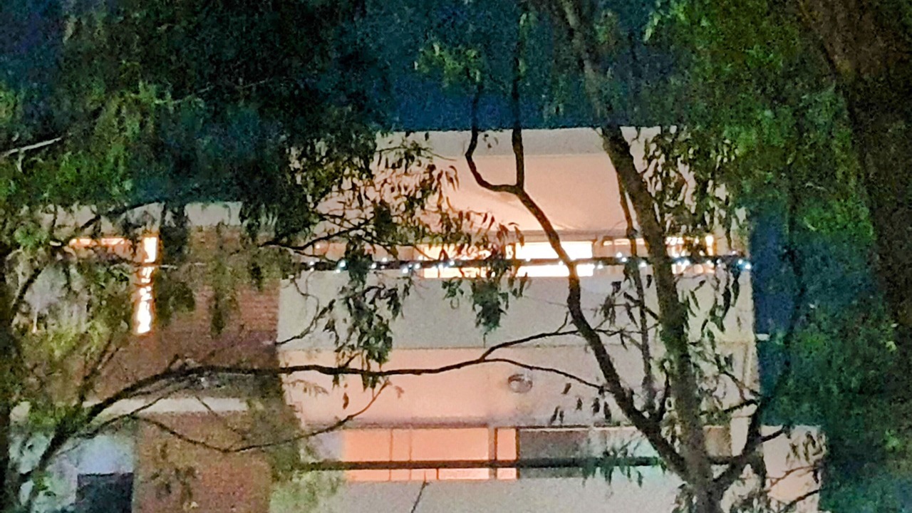 Photo of Outdoor in Bankstown
