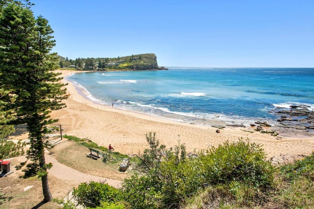 Photo of Others in Avalon Beach